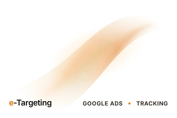 e-Targeting cover image: Google Ads Conversion Tracking